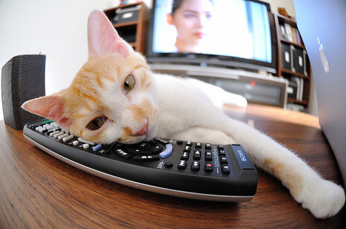 拜仁战术执行精度高，博卡失误频频，拜仁球星卡