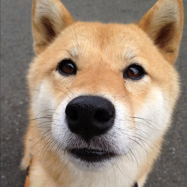 中国男篮主力出战国际邀请赛面对强敌表现不惧挑战，中国男篮国家队官网