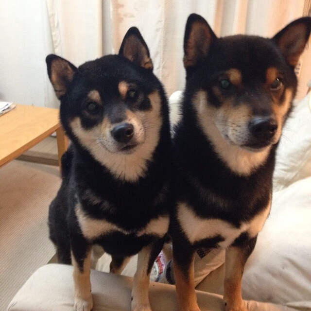 中国足球青训基地环境设施提升工程竣工，中国足球青训基地有哪些