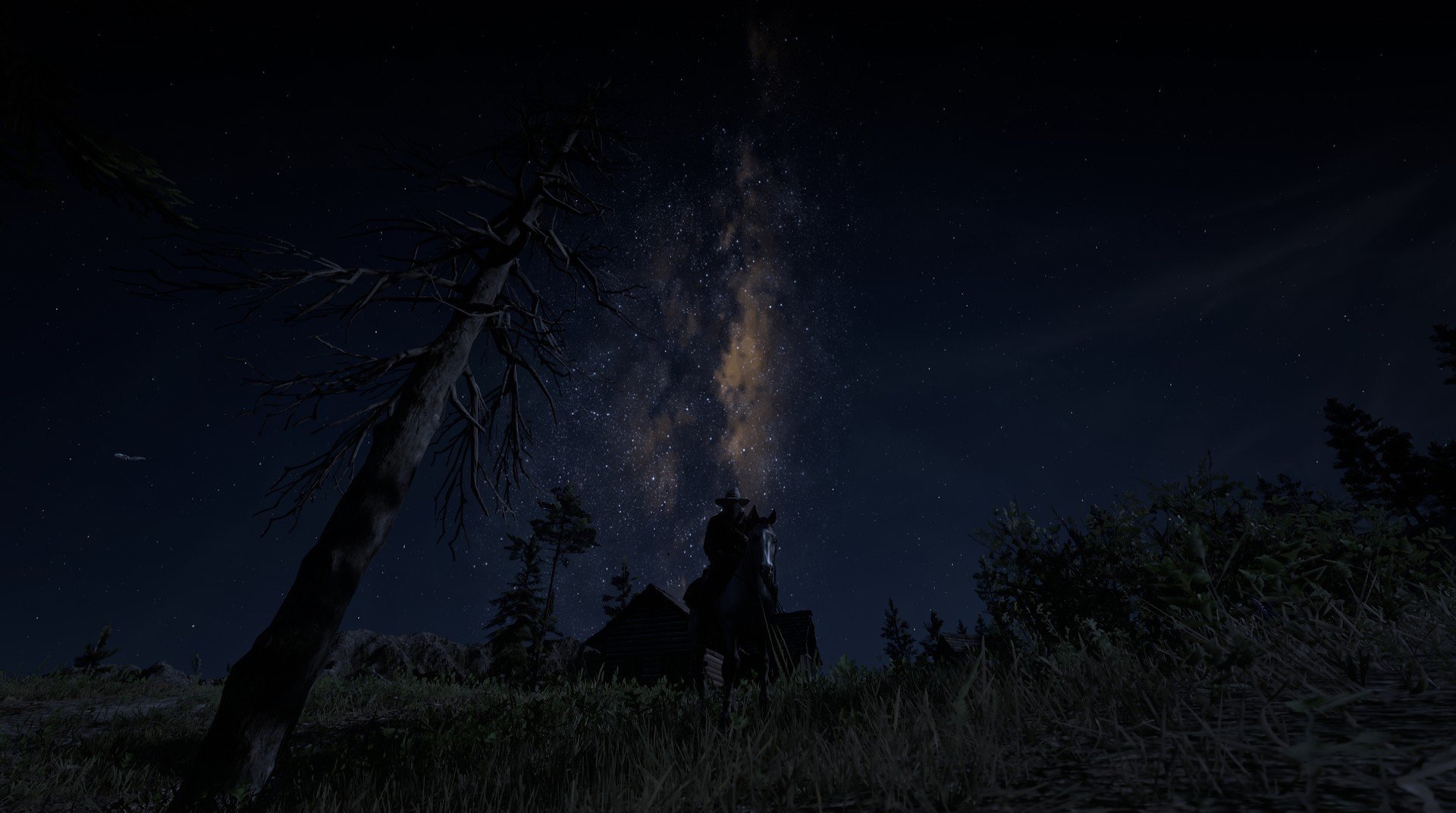 决赛焦点 阿莱克西蝶泳节奏惊艳，阿莱克西亚·阿西福特